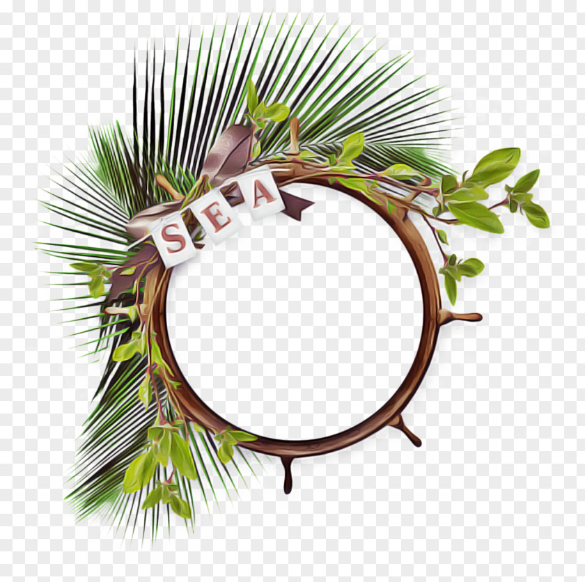 Interior Design Conifer Cartoon Palm Tree PNG