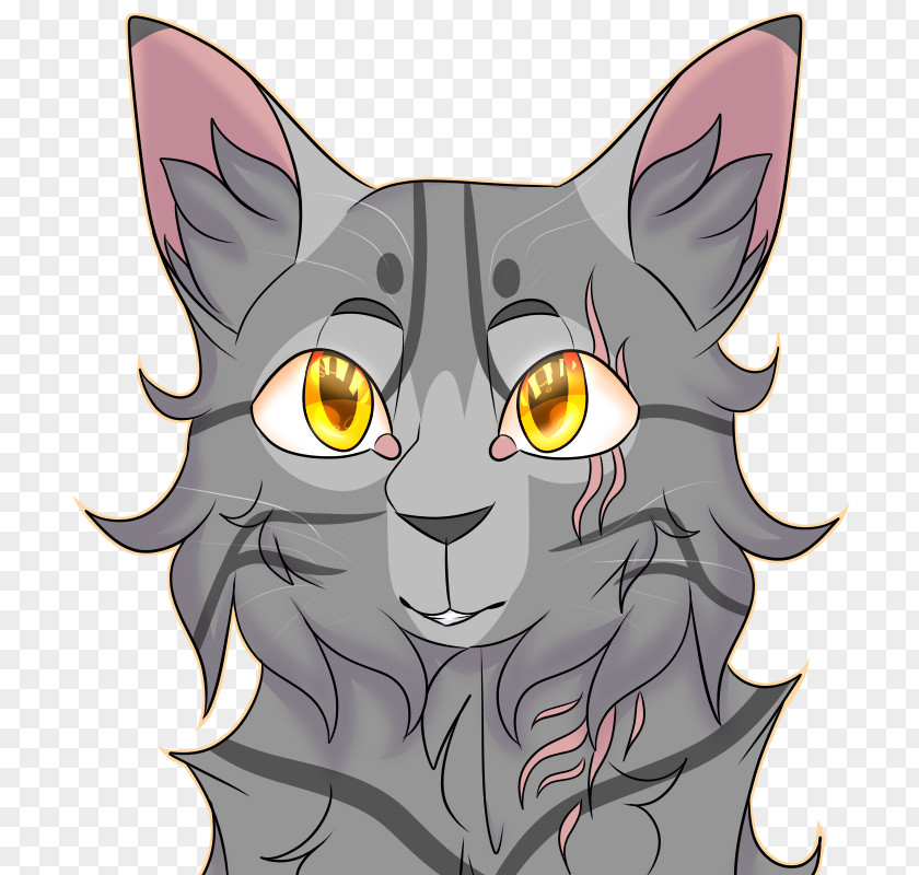 Kitten Whiskers Tabby Cat Legendary Creature PNG