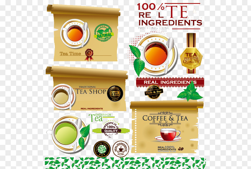 Tea Culture Green Cafe PNG