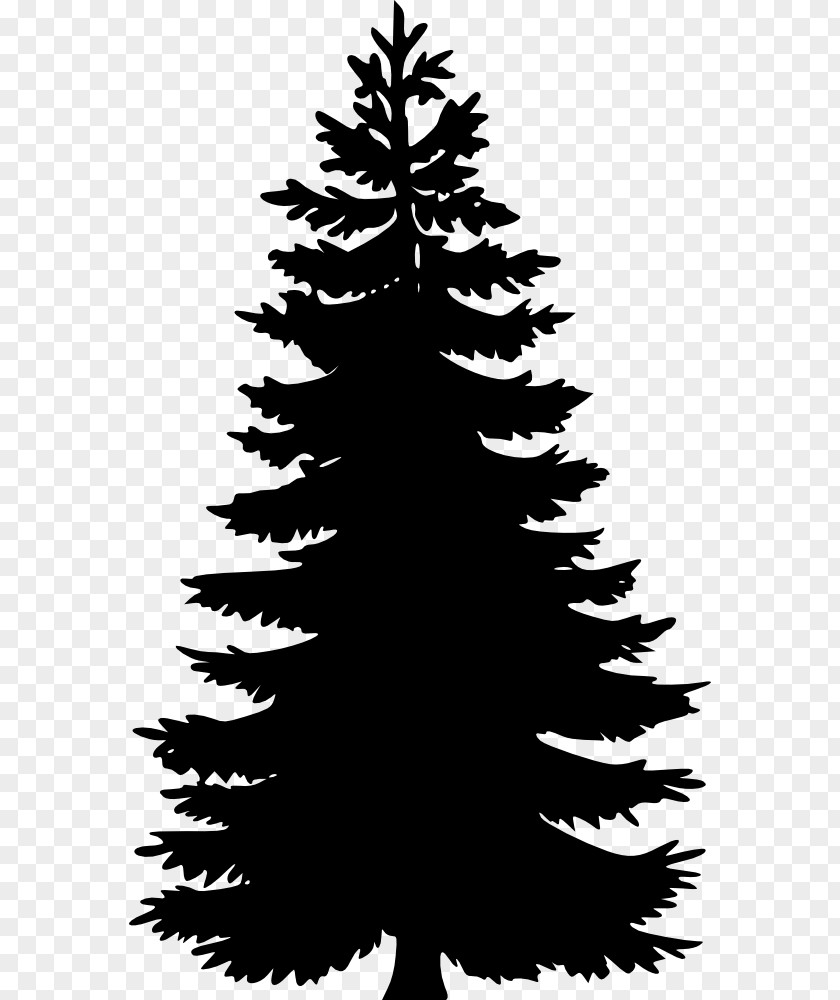 Tree Pine Fir Spruce Clip Art PNG