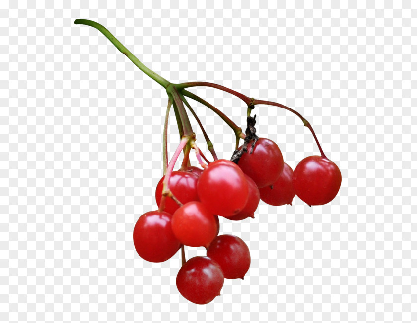 Cherry Cranberry Zante Currant Lingonberry Pink Peppercorn PNG