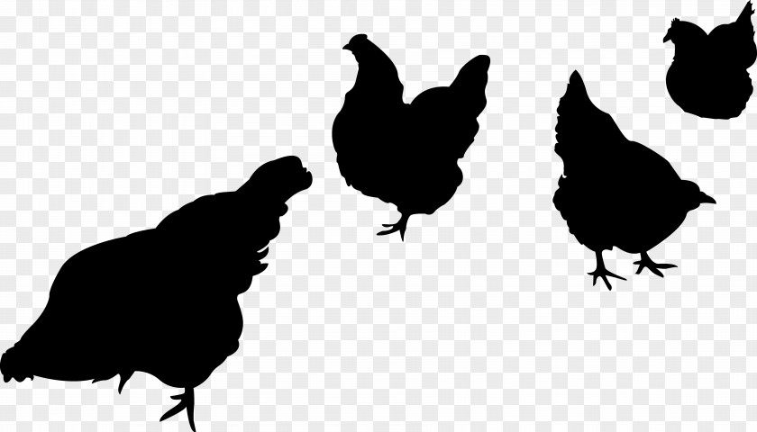 Chicken Silhouette Clip Art PNG