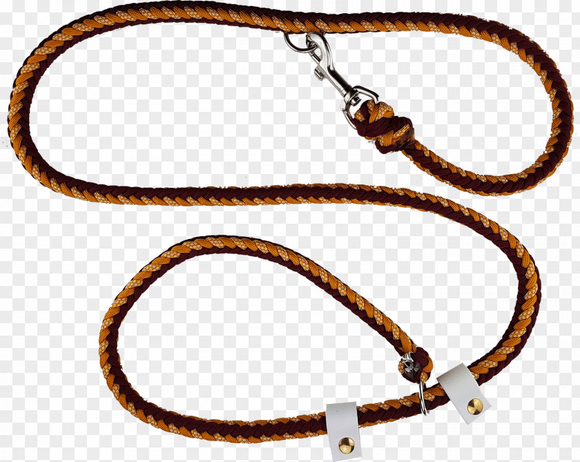 Dog Leash Collar Retrieverleine PNG