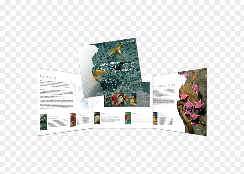 Environmental Album Presentation Pack Postage Stamps New Zealand Post Brochure Gift PNG