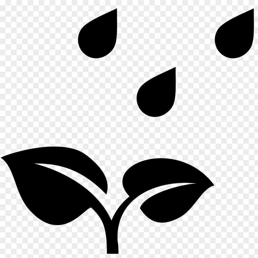 Plant Clip Art PNG