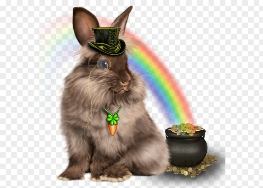 Rabbit Domestic Hare Party Birthday PNG