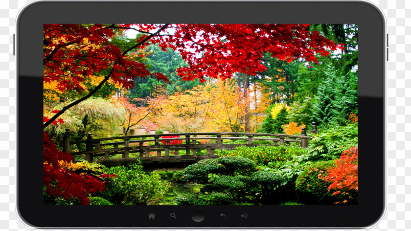 2k Desktop Wallpaper Nature Stock Photography Landscape PNG