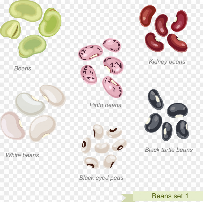 Cowboy Beans Pinto Bean Refried PNG