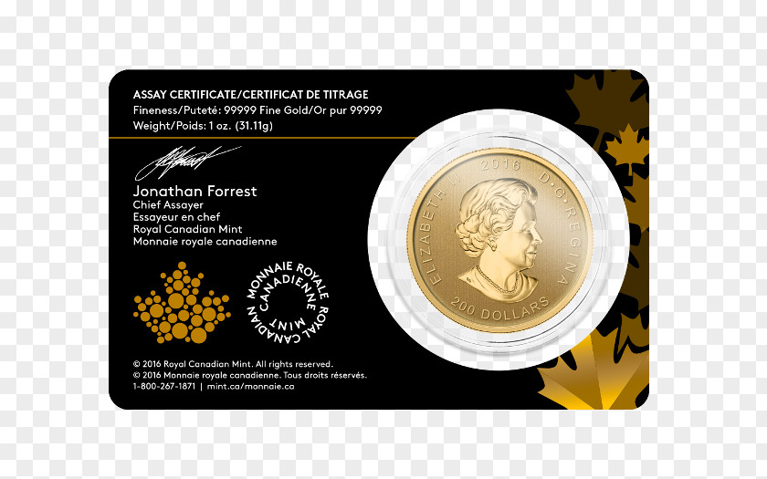 Gold Coin Elk American Eagle Canadian Maple Leaf PNG