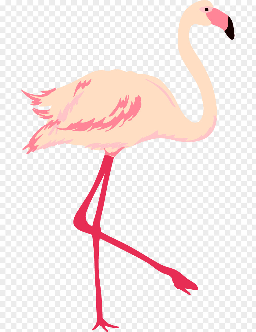 Hand Painted Pink Swan Cygnini Bird Clip Art PNG