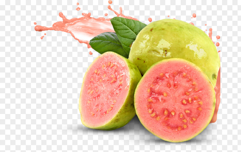 Juice Common Guava Tropical Fruit PNG
