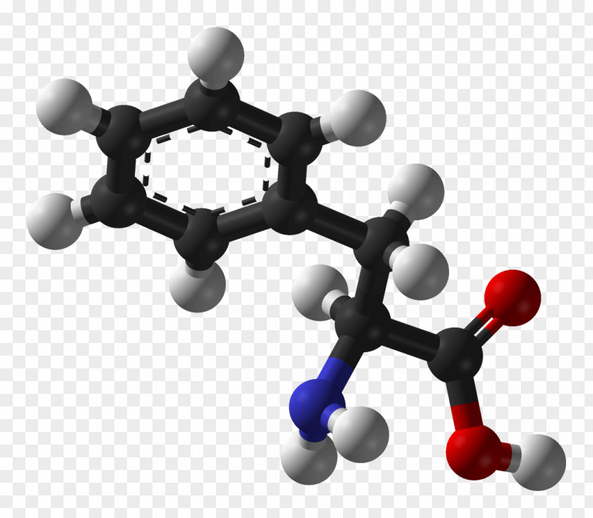 Phenylalanine Essential Amino Acid Levodopa Tyrosine PNG