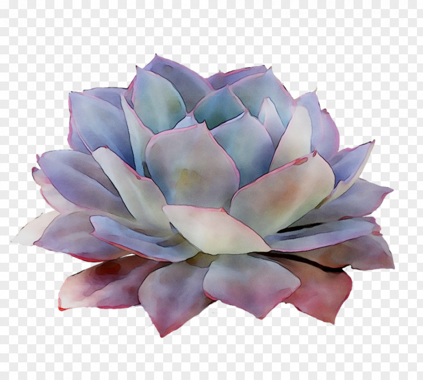 Purple Cut Flowers PNG