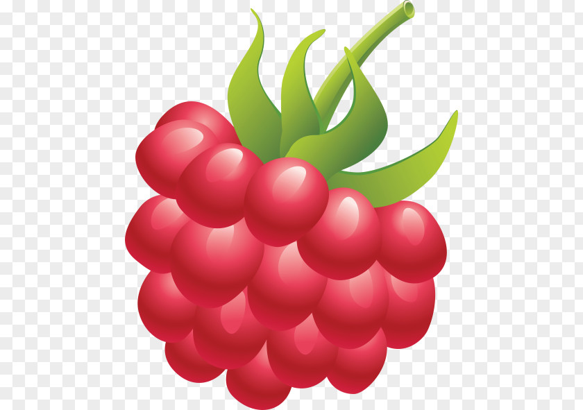 Raspberry Clip Art Openclipart Fruit PNG