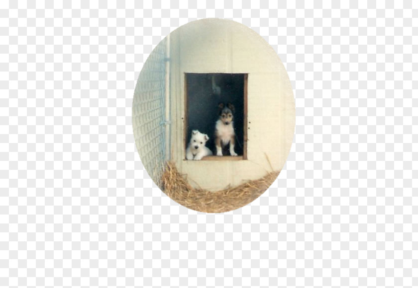 West Highland Terrier White North Carolina The Way To Rose Picture Frames PNG
