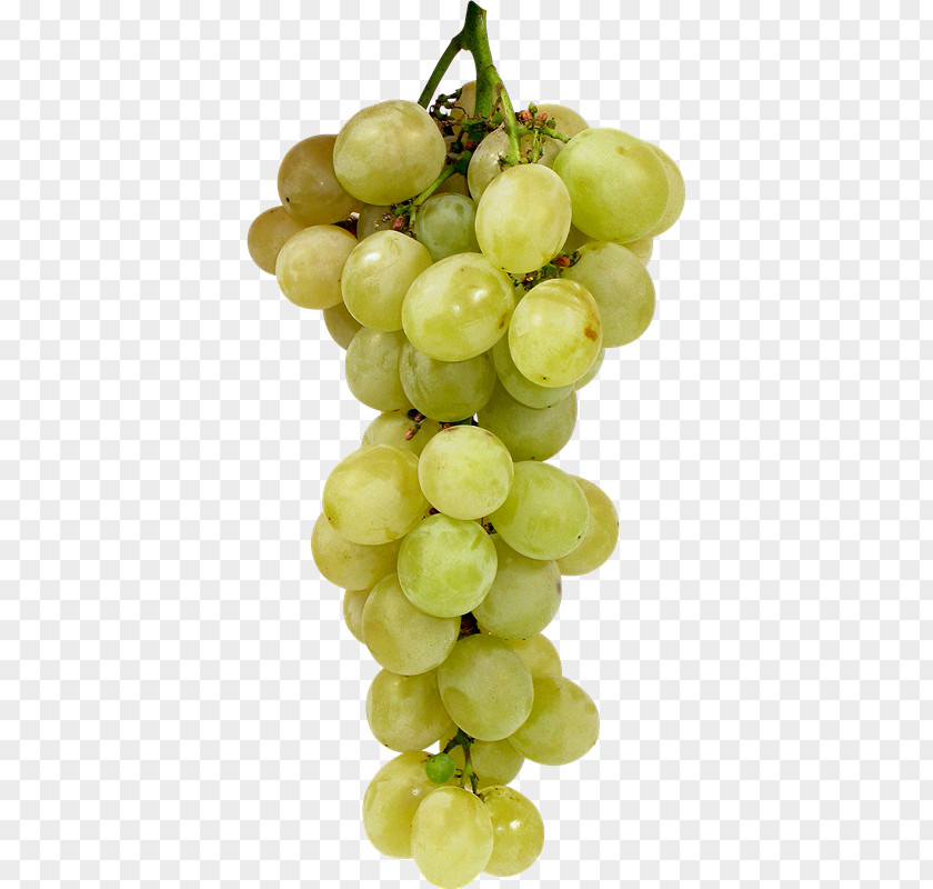 Grape Sultana Kyoho Wine Seedless Fruit PNG