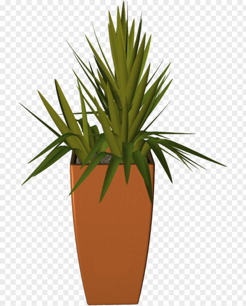 Plant Flowerpot Arecaceae PNG