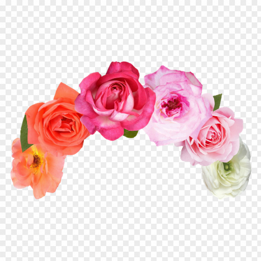 Rose Garden Roses Floral Design Cut Flowers PNG