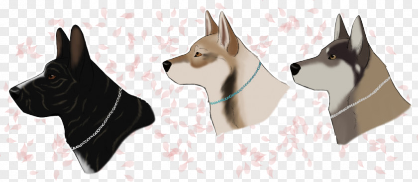 Saarloos Wolfdog Boston Terrier Dog Breed Non-sporting Group Snout Ear PNG
