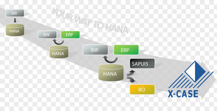 Sap Hana Brand Technology PNG