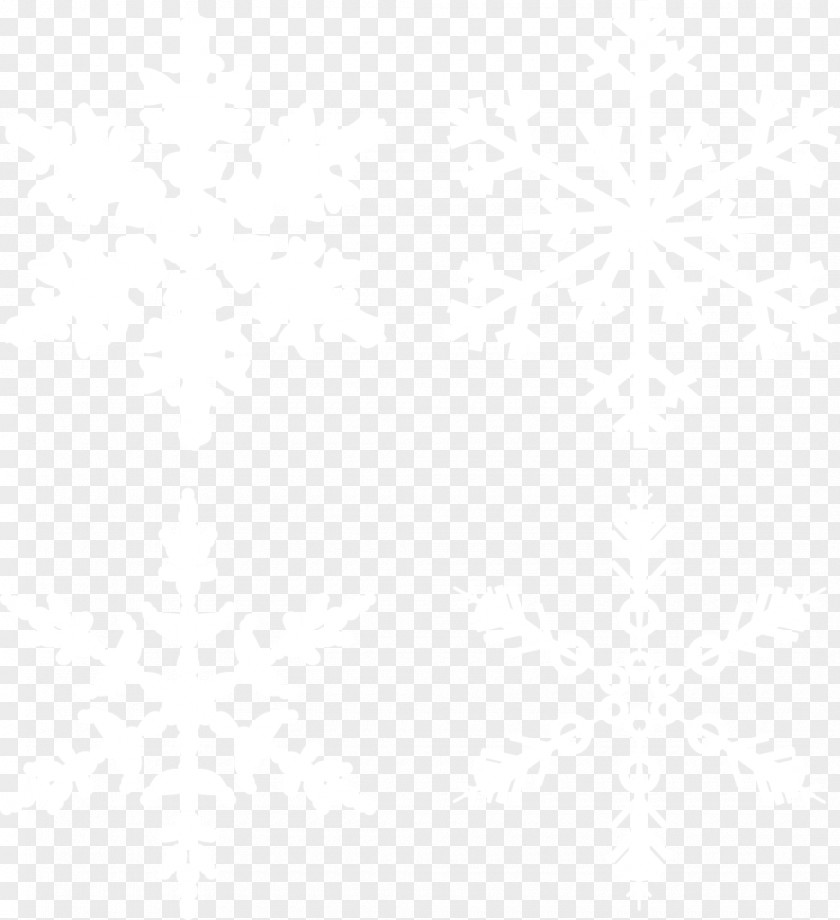 Snowy Sky Snow Vector Material White House Samford University Website South Gate Search Engine Optimization PNG