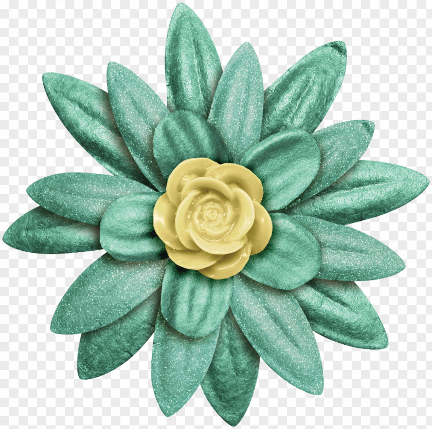 Star Anise Turquoise PNG