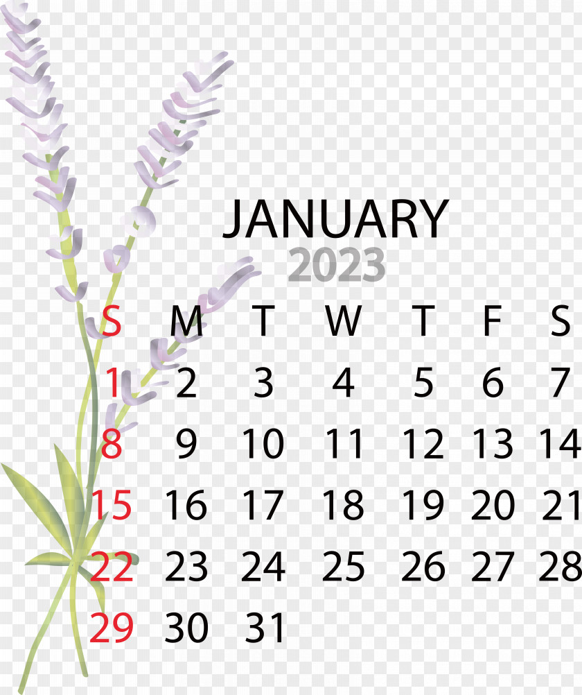 Calendar 2022 May Calendar May January PNG