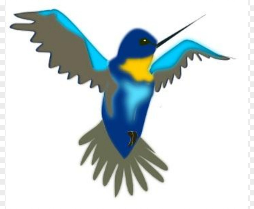 Free Hummingbird Clipart Cartoon Clip Art PNG