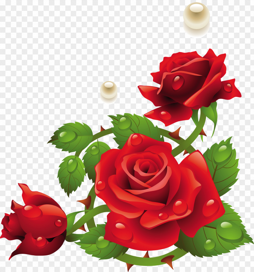 Gull Rose Floral Design Clip Art PNG