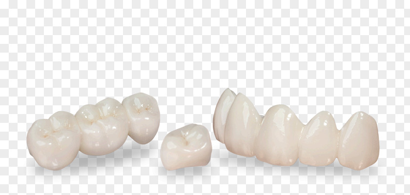 Jewellery Family Dentistry Tooth Health PNG