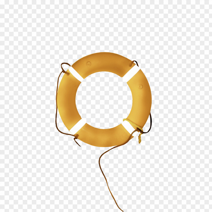 Lifebuoy Rescue PNG