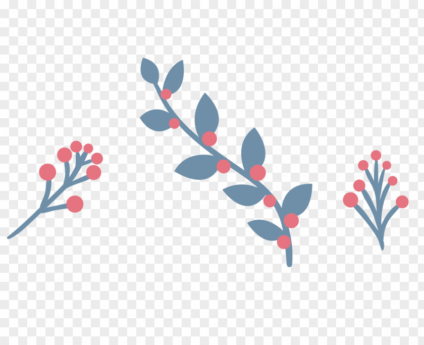 Plant Christmas Ornament Flower PNG