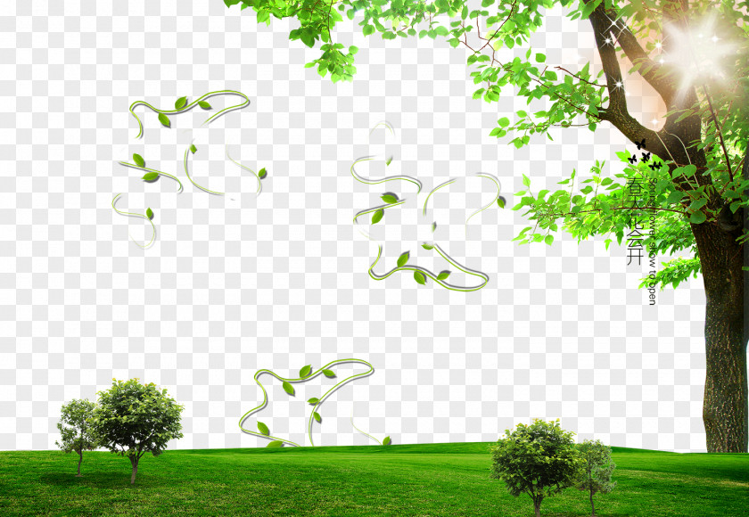 Spring Poster Background Effect Photography PNG