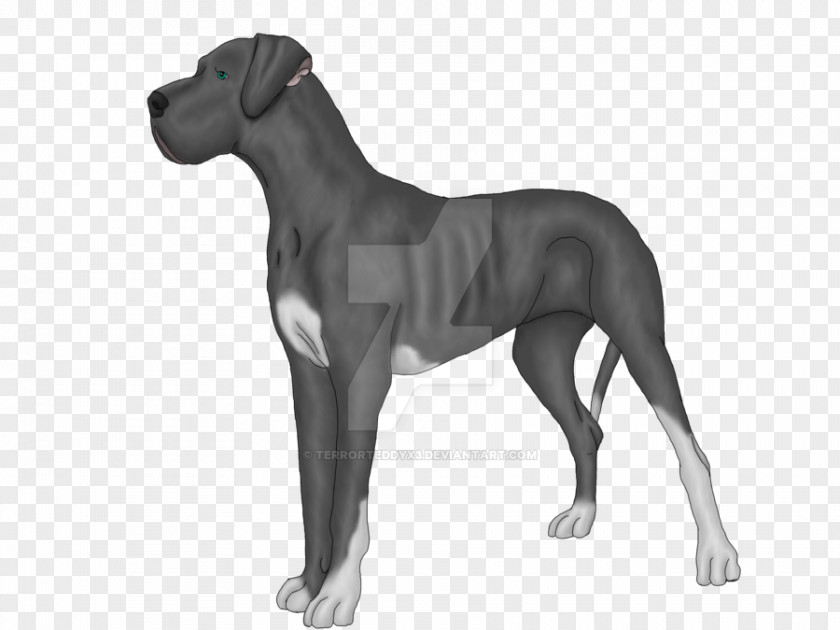 Teddy Dog Great Dane Breed Guard Non-sporting Group PNG