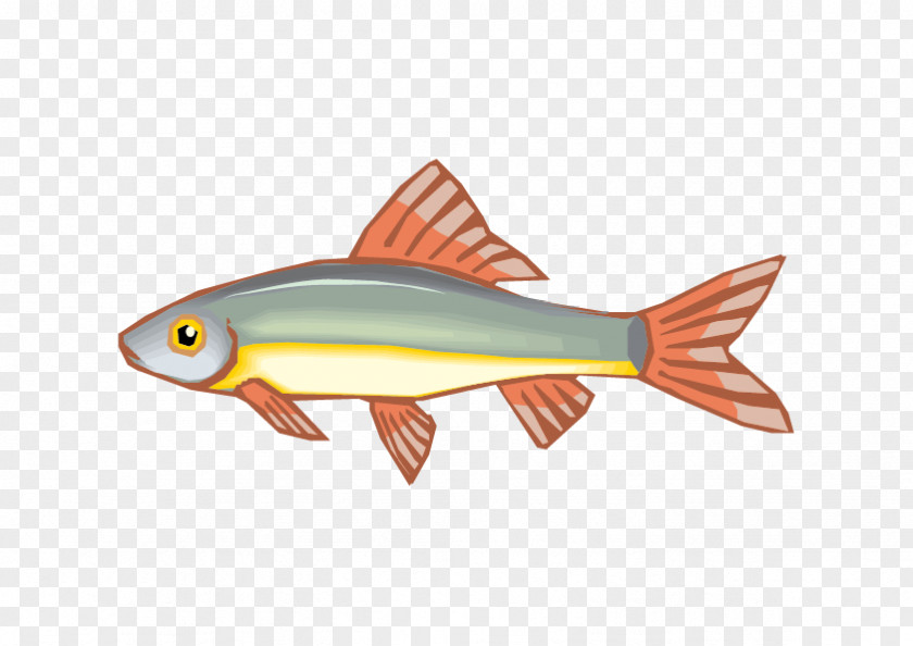Vector Blue Fish Animation Drawing PNG