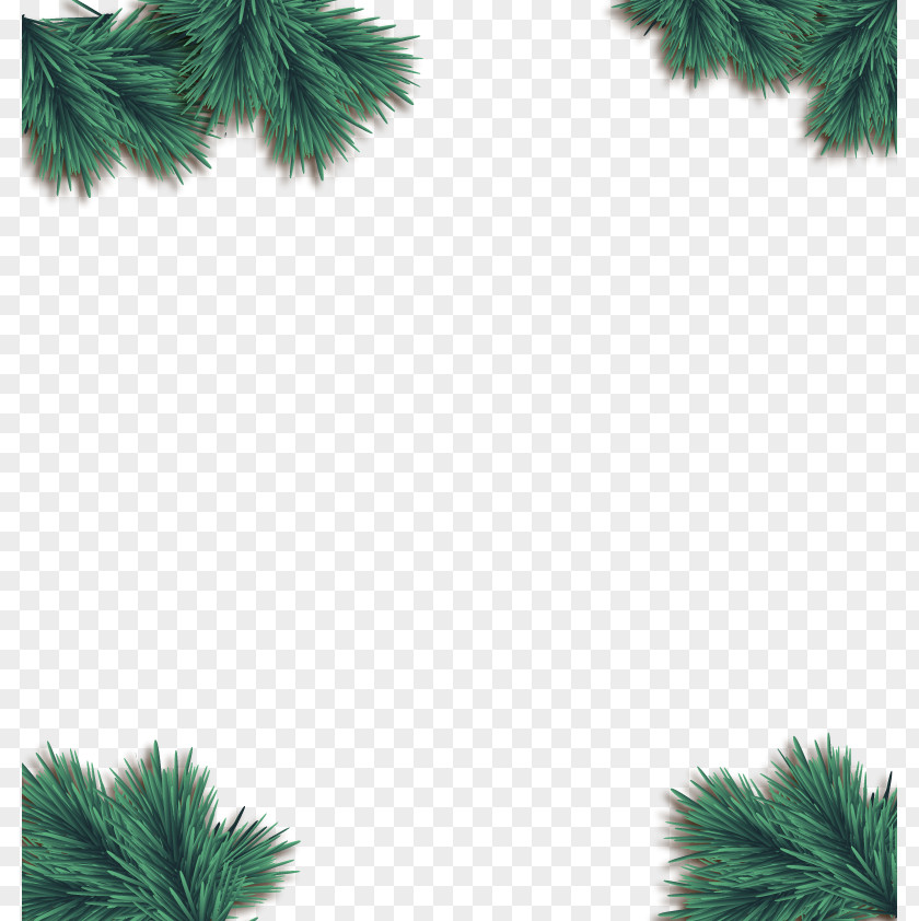 Vector Decorative Pine Christmas Euclidean PNG