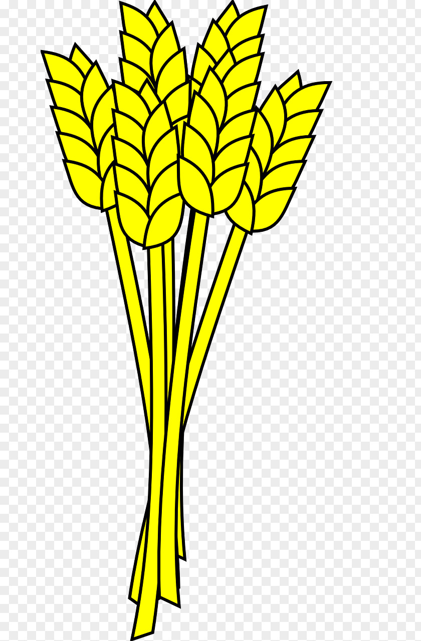 Barley Yellow Wheat Clip Art PNG