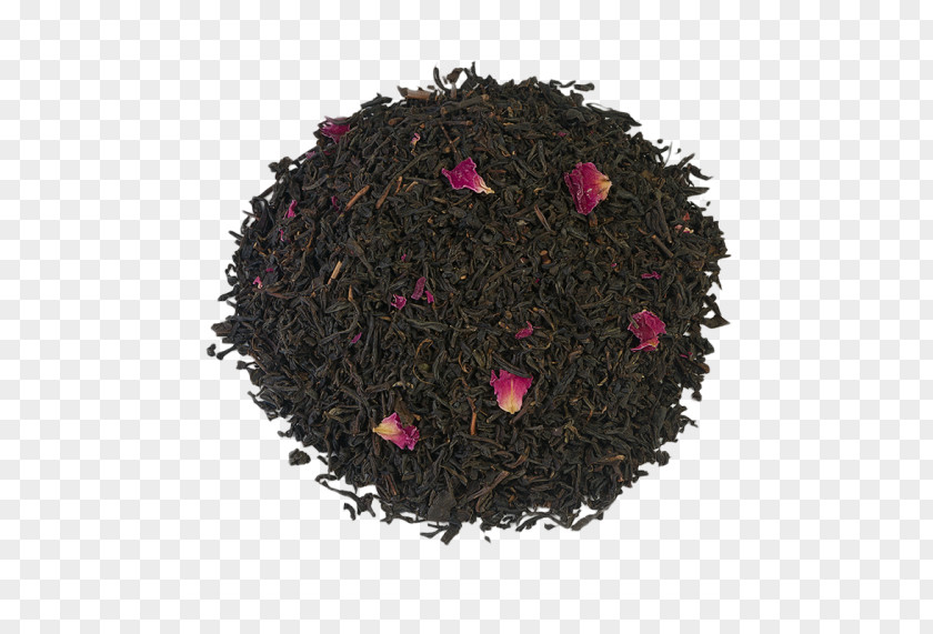 Chinese Rose Nilgiri Tea Dianhong Magenta Plant PNG