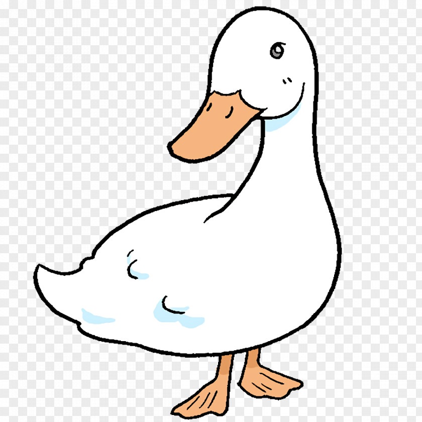Duck Goose Line Art Cartoon Beak PNG