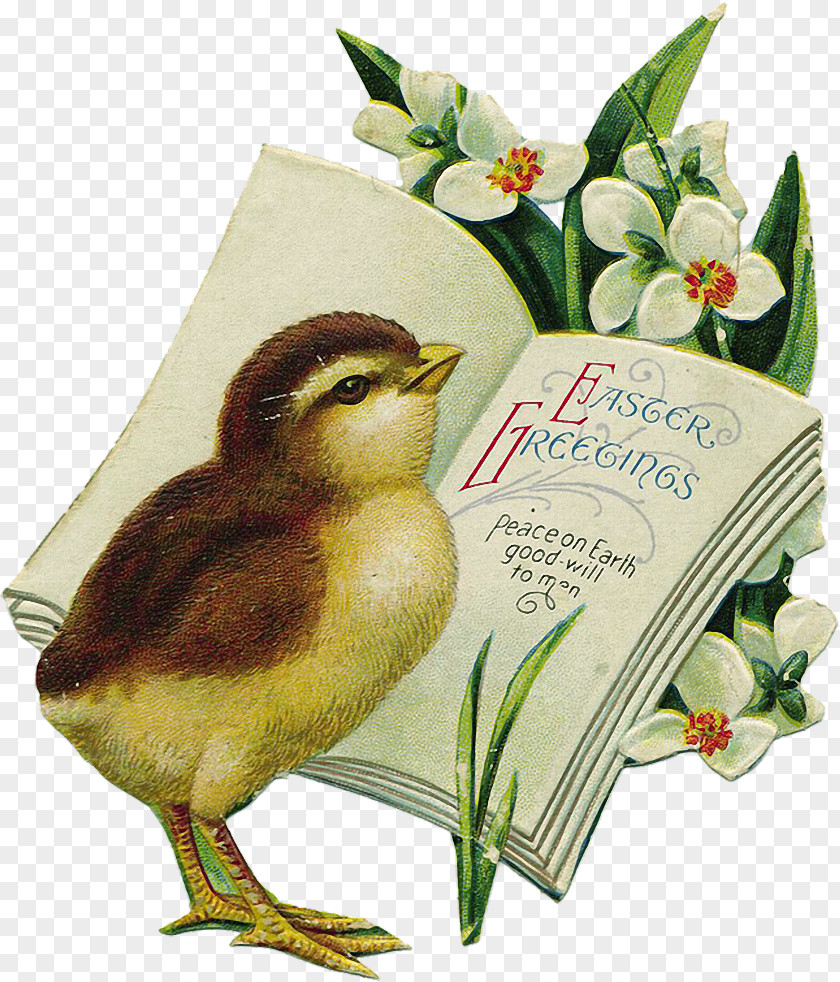 Easter Bunny Egg Postcard Clip Art PNG