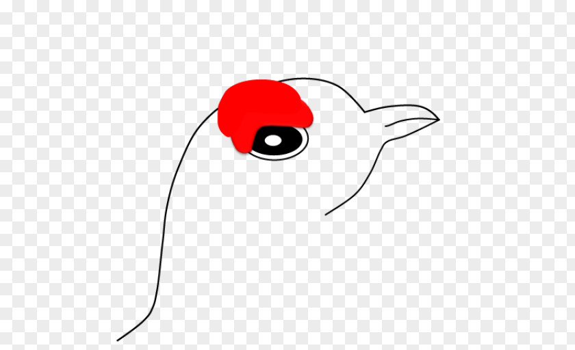 Exam Art Bird PNG