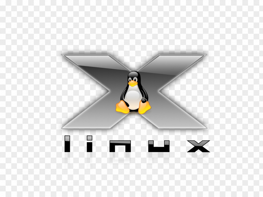 Linux NimbleX Distribution Operating Systems Installation PNG