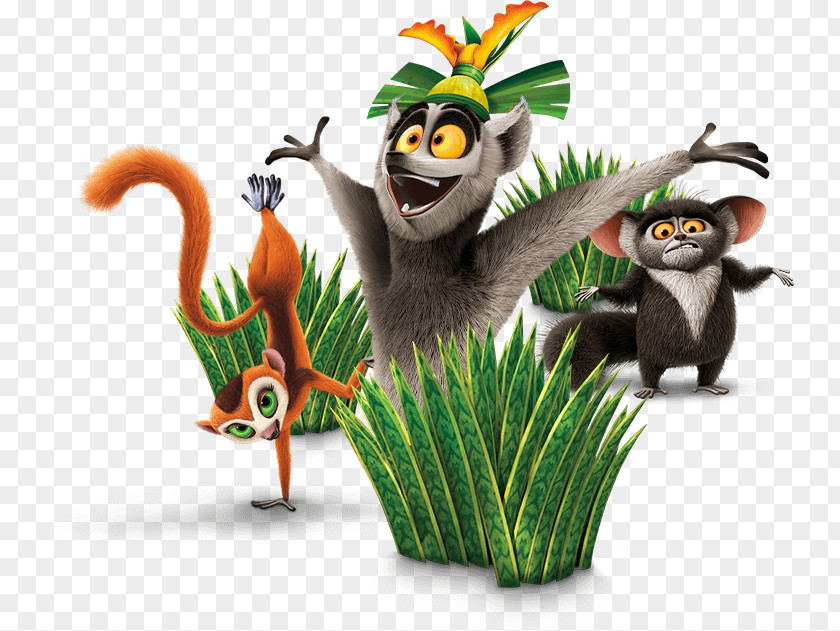 Madagascar The All Hail King Julien Show DreamWorks Animation Toggo PNG