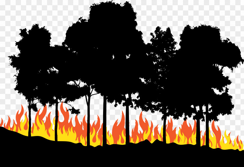 Fire In The Woods Euclidean Vector PNG