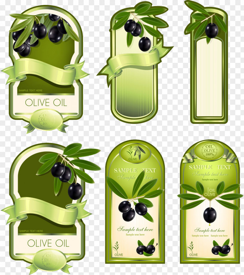 Olive Signs Collection Oil Lecsxf3 Label PNG