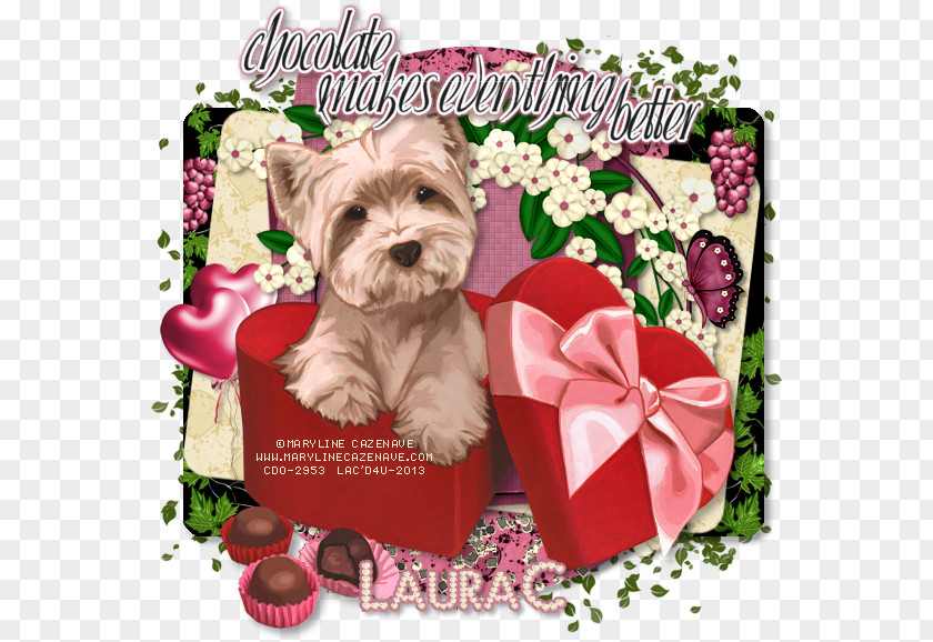 Puppy Yorkshire Terrier Morkie Dog Breed Companion PNG