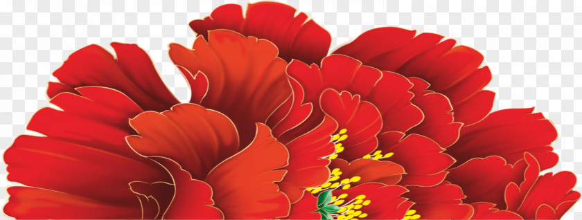 Red Peony Moutan PNG
