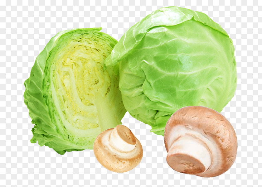 Cabbage Cut Material Cruciferous Vegetables Vegetarian Cuisine PNG