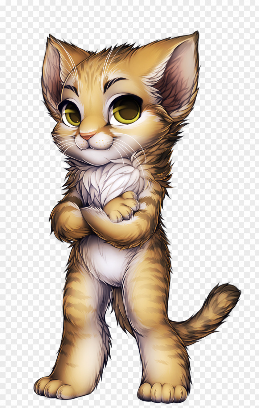 Fennec Fox Scottish Fold Savannah Cat Maine Coon Siamese Norwegian Forest PNG