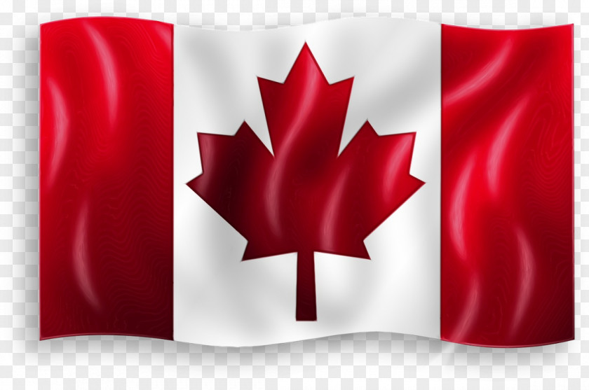 Flag Of Canada Maple Leaf Desktop Wallpaper PNG